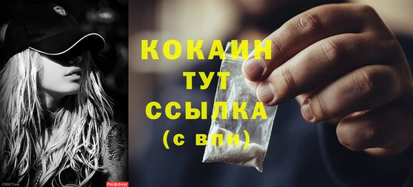 твердый Осинники