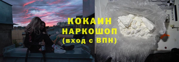 твердый Осинники