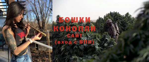 твердый Осинники