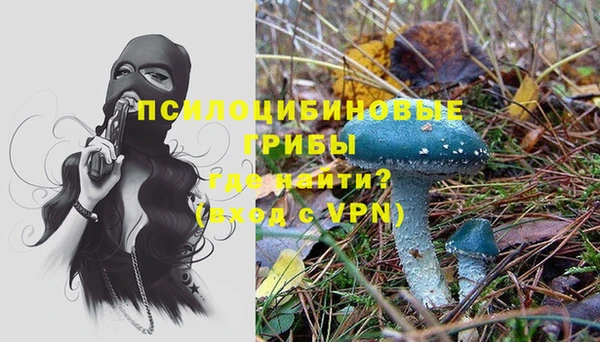 твердый Осинники