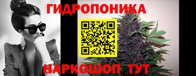прущие крисы Кандалакша