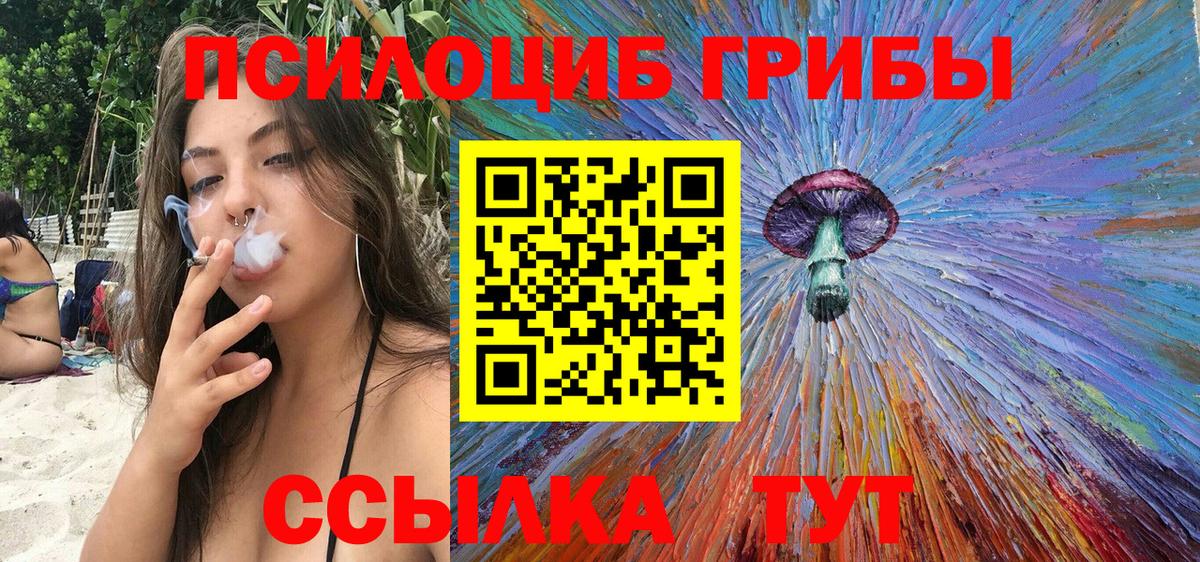 Псилоцибиновые грибы Cubensis  где купить наркоту  Людиново 