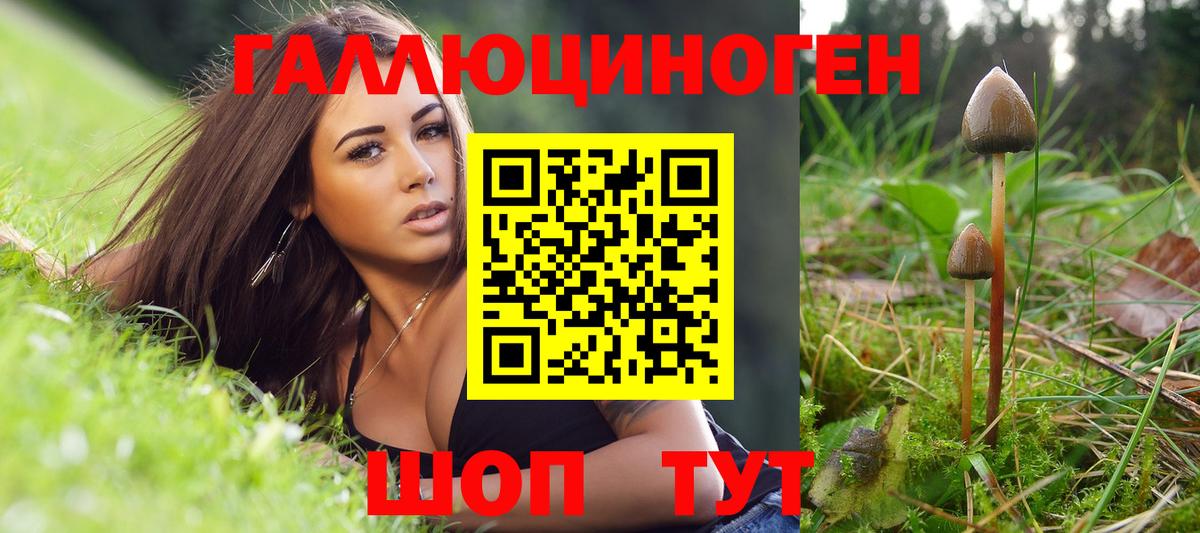 Псилоцибиновые грибы Psilocybine cubensis Людиново