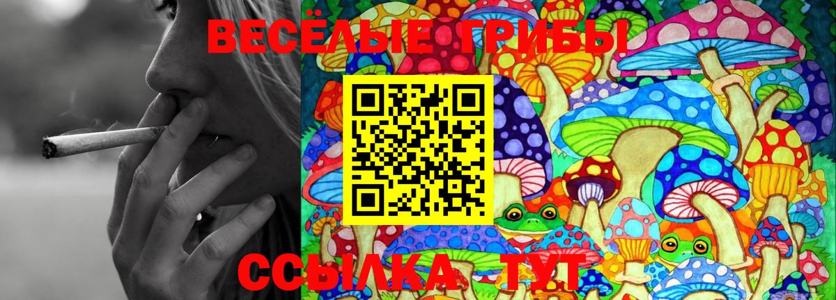 Псилоцибиновые грибы ЛСД  закладка  Людиново  Вход с VPN 